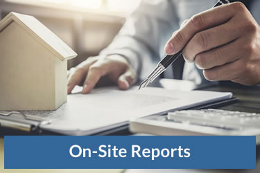 On-Site Reports
